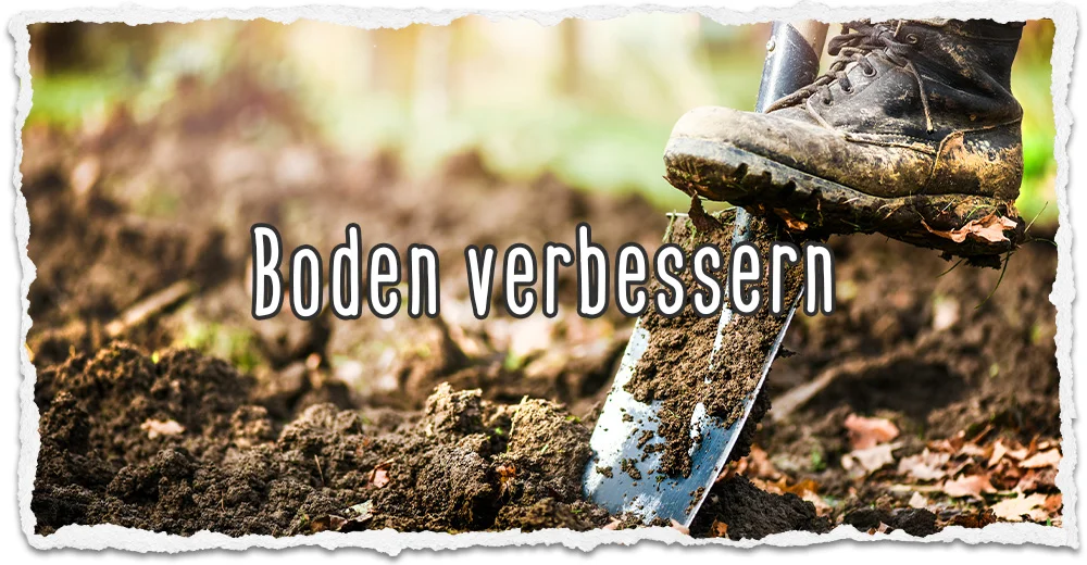 Boden verbessern