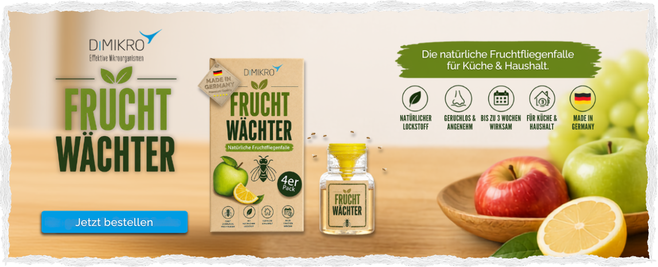 Fruchtwächter Fruchtfliegenfalle