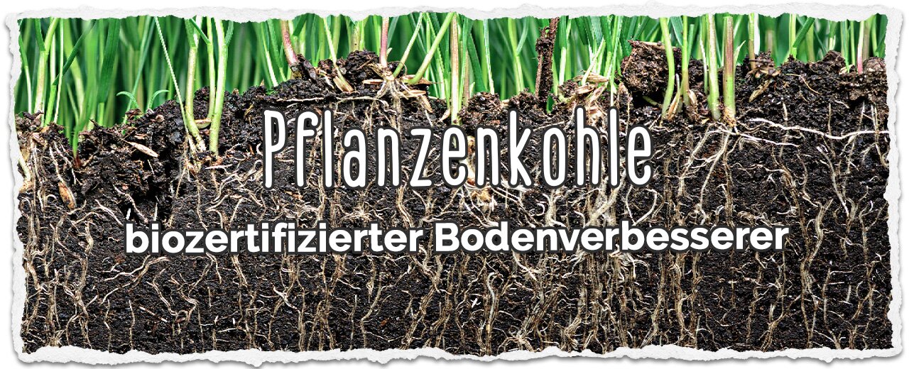 Pflanzenkohle