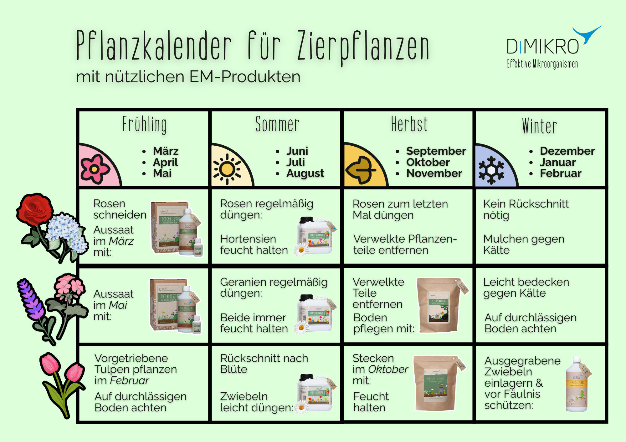 Pflanzkalender für Zierpflanzen