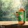 DMSO 99,9 %  pharmazeutische Reinheit- 100ml