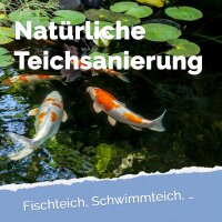 Zeolith grob 5-8 mm - verschiedene Mengen für Gewässer