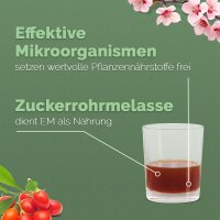 Ursprung - Effektive Mikroorganismen Urlösung 1 l
