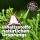 EM-a Fermenter-Einsteigerset DIMIKRO 3 Liter