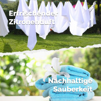 EM-Waschmittel mit Zitronenduft 0,1 Liter