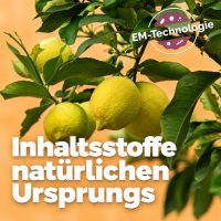 EM-Kalkreiniger