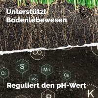 Urgesteinsmehl aus Diabas-Vulkangestein 1kg