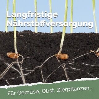 hochbeet erde düngen Azet HochbeetDünger flüssig – Neudorff Shop
