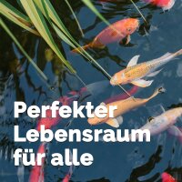 Teichdango Selbstmachset