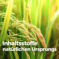 Bio-Reissirup - 1 Liter