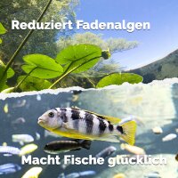 AquaBioBalance Teichpflege - 1 Liter