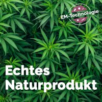 Hanfstreu für Trenntoilette 5 l