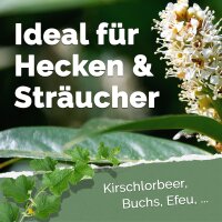 Bio-Dünger-Pellets für Hecken & Sträucher 1,5 kg