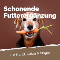 Futterkohle