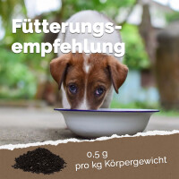 Futterkohle