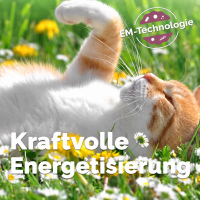EM Keramik-Halsbänder - verstellbar - verschiedene...