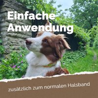 EM Keramik-Halsband Modell "Gobi" - verstellbar - petrol-helltürkis 45-55 cm