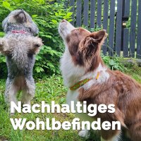 EM Keramik-Halsband - verstellbar - schwarz 45-55 cm