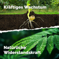 Pflanzenglück - veganer Volldünger 3 kg