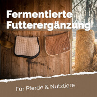 Mikrobiota Horse Liquid 5 Liter