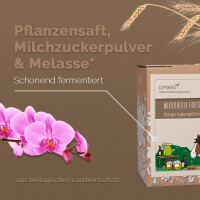 Mikrobiota Horse Liquid 5 Liter