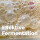 EMa-Fermenter 3 L