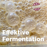 EMa-Fermenter 10 L