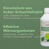 Acker-Schachtelhalm-Extrakt 500 Milliliter