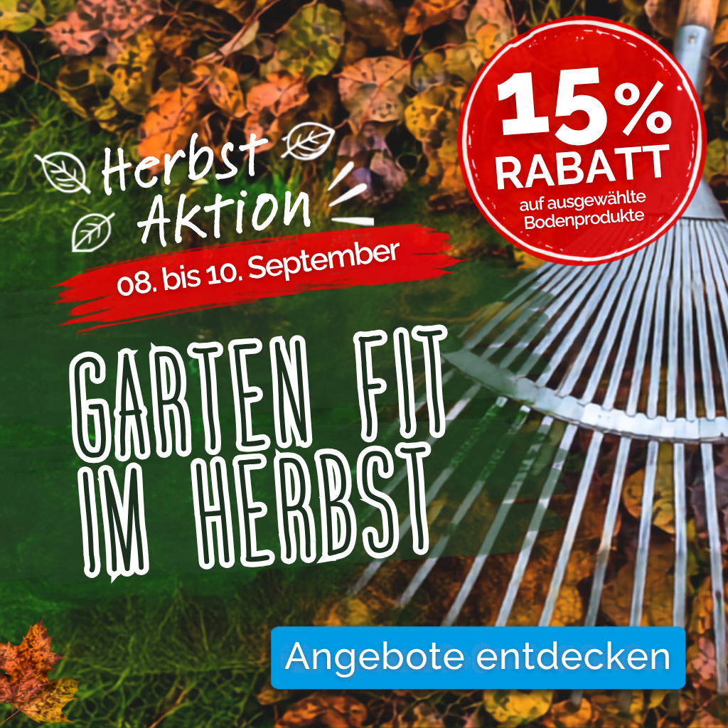 Herbst-Aktion