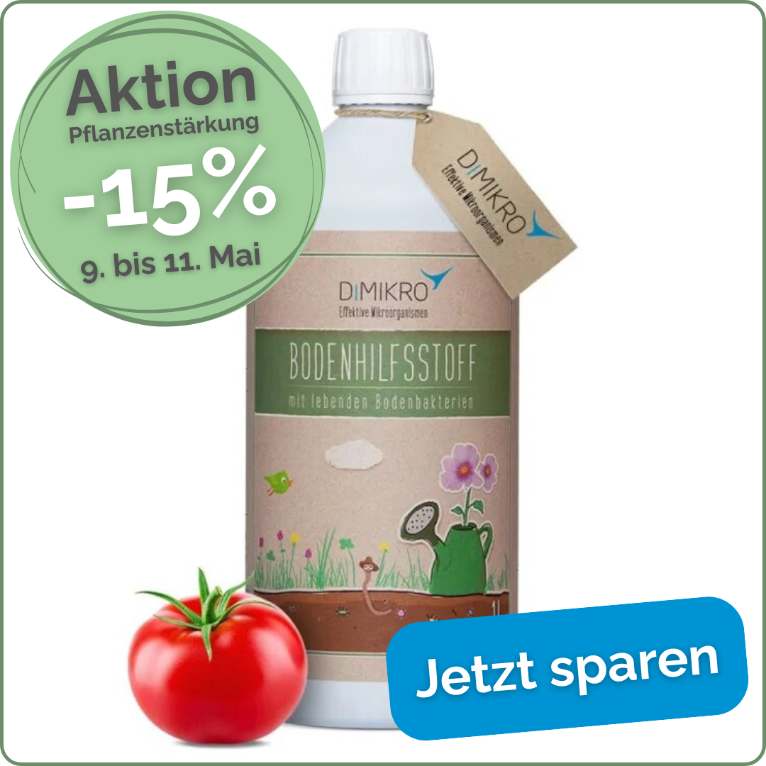 Aktion starke Pflanzen